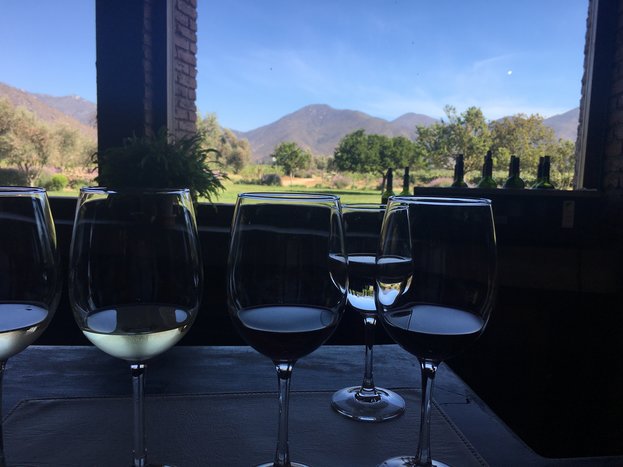 Santiago: Half Day Concha y Toro Winery - PRIVATE
