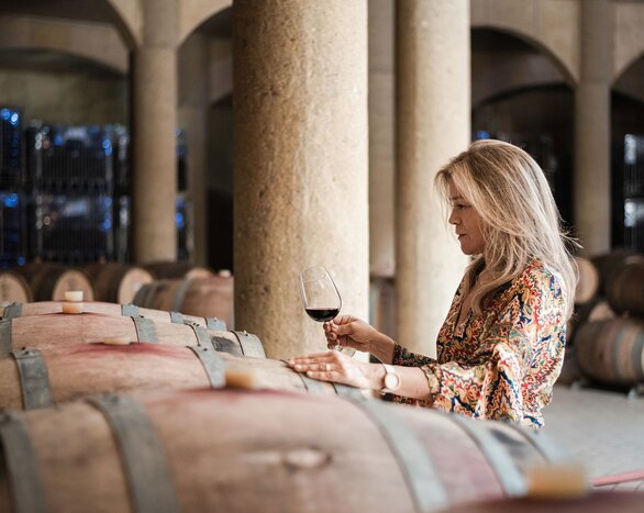 Maipo Valley Wine Experience