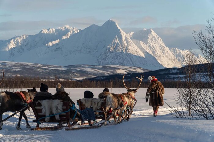 Reindeer Sledding & Sámi Culture Experience