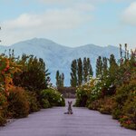 Stay at a wine estate at the foot of the Andes while exploring Mendoza (photo courtesy of Cavas Wine Lodge)