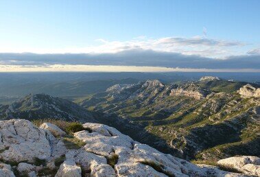 Half-Day Private E-bike Tour of the Alpilles 