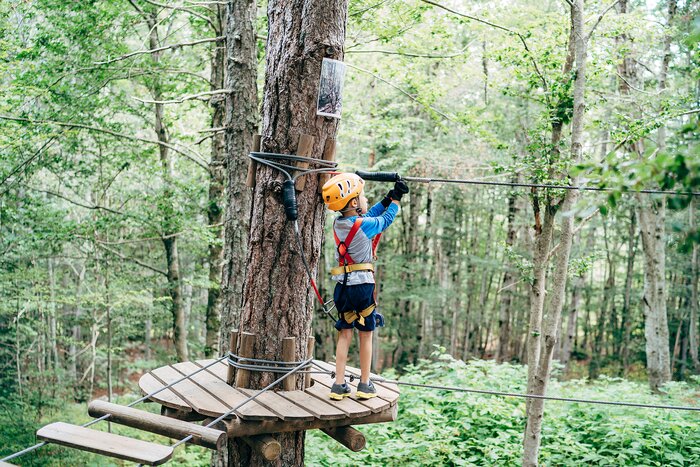 Enjoy a zipline adventure in the rainforest