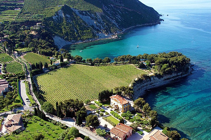 Cassis & Bandol Rosé Wine Tour