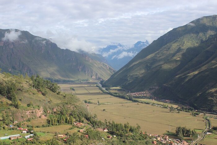 Private tour to Pisac: Andean Animals