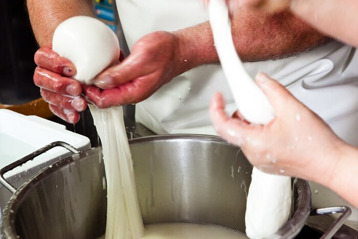Mozzarella tour and tasting