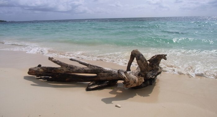 Kajak Adventure in Tierrabomba