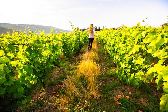 Winery Quinta de la Rosa