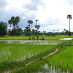 Discover Siem Reap's countryside and spend the day with locals