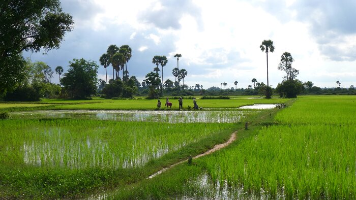 Discover Siem Reap's countryside and spend the day with locals