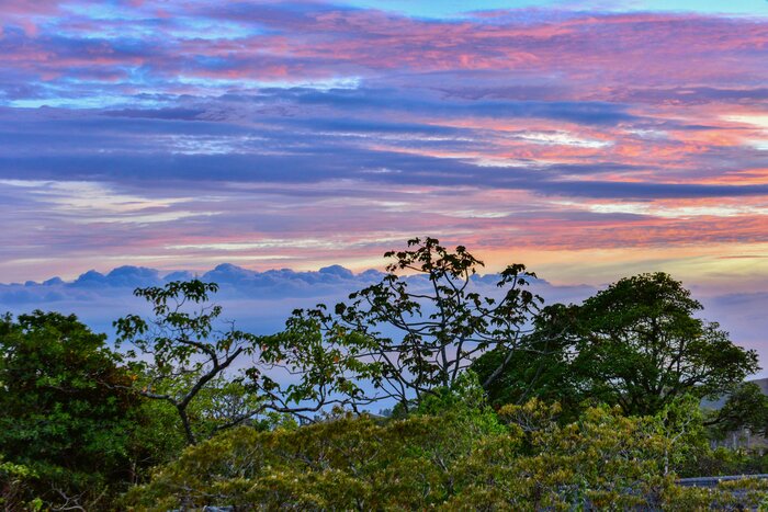 Sunset over the Monteverde Cloud Forest Reserve