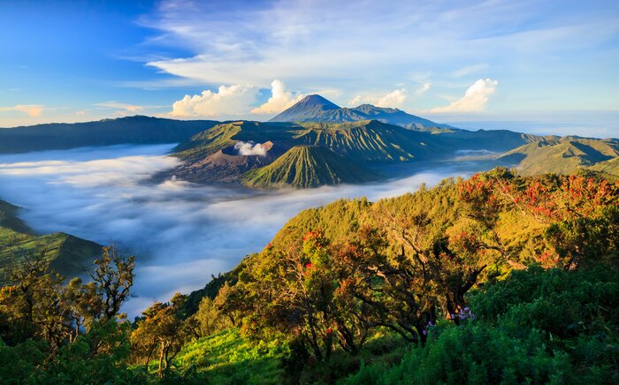 Mount Bromo volcano, East Java, Surabuya, Indonesia