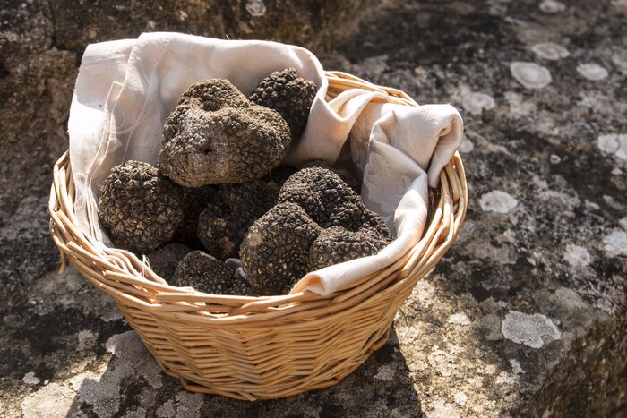 Truffle & Home Lunch Experience