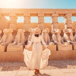 Explore Nile temples from Aswan to Luxor with the help of a private guide