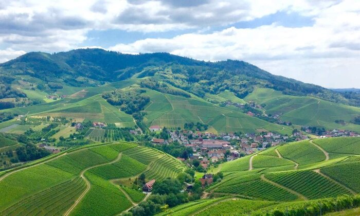 A wonderful day out to the German wine road, set in the lovely Pfalz countryside