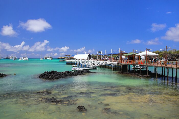 Discover the Galápagos island of Santa Cruz, starting with Puerto Ayora
