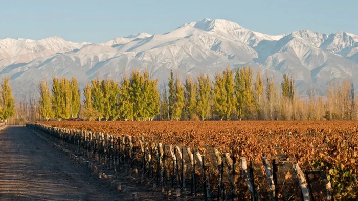 Half-Day Wineries Tour | Lujan de Cuyo & Maipu