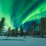 You'll have plenty of chances to spot the elusive northern lights on this tour of Sweden's far north