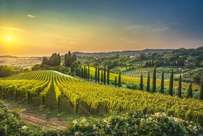 See the beautiful Tuscan countryside on your 10-day road trip through Italy