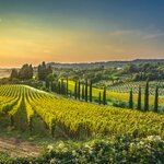 See the beautiful Tuscan countryside on your 10-day road trip through Italy