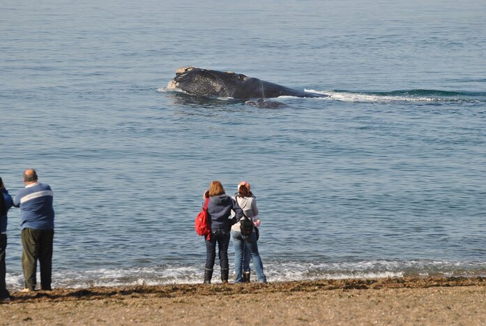 Discovering Doradillo beach with walking tour