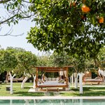 Enjoy the countryside at this agriturismo hotel (photo courtesy of Agroturismo ATZARÓ)