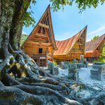 Batak traditional houses in a row, Sumatra, Indonesia