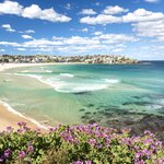 Relax on Sydney's famous Bondi Beach