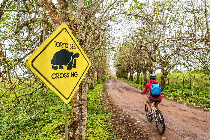 Cycle along the quiet backroads of the Galápagos