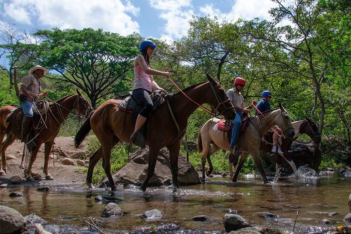 Cowboy Horseback Riding Tour