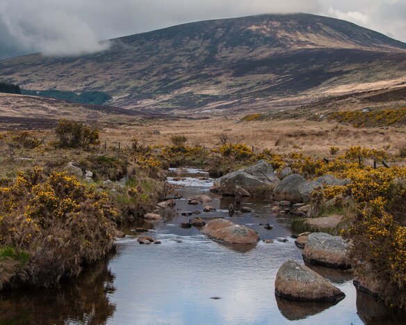 Welcome to the Wicklow Mountains