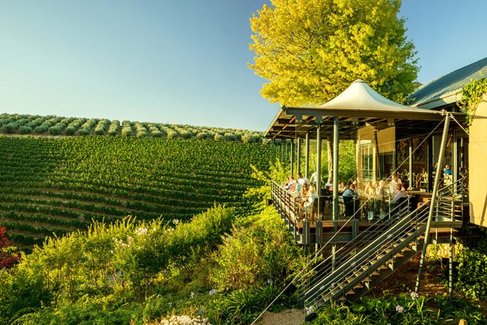 Cape Town to Franschhoek with Wine farm visits