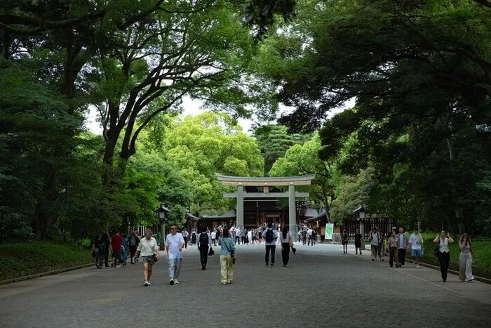 Harajuku Meiji Shrine Walking Tour in Tokyo
