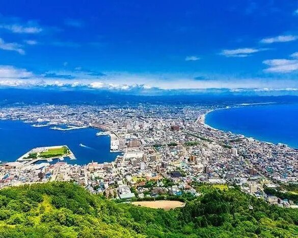 Full Day Hakodate Tour with English Speaking Guide and Vehicle (Private)