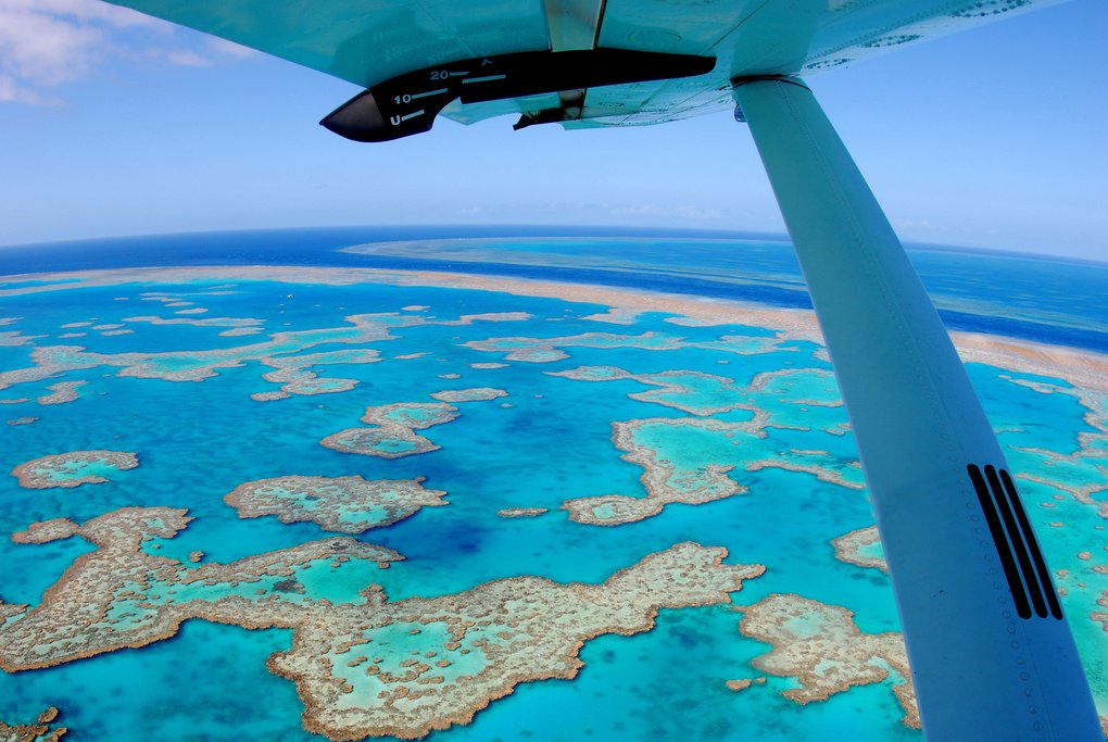 Visit the Barrier Reef