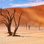 Your southern Africa explorations start amid the Sossusvlei dunes in Namibia