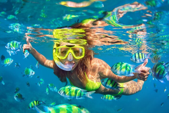 Snorkel among Thailand's colorful marine life with your family