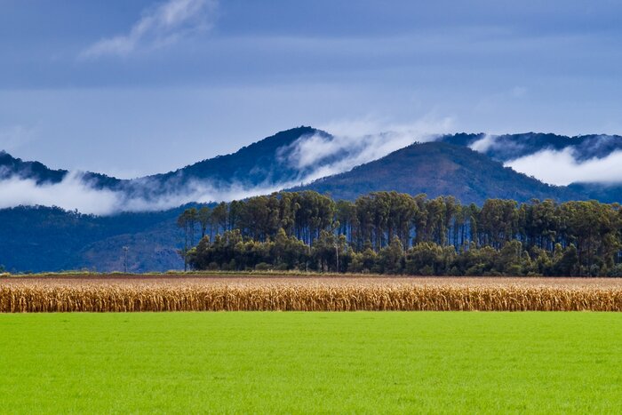 Drive to the Atherton Tablelands for quirky cafés and captivating landscapes