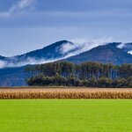 Drive to the Atherton Tablelands for quirky cafés and captivating landscapes