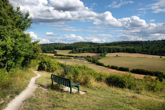 Private Guildford, Surrey Hills & Pilgrim's Way Hike