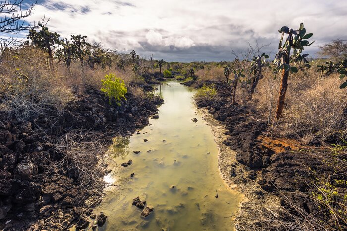 Explore Las Grietas and the surrounding salt lakes on Isla Santa Cruz