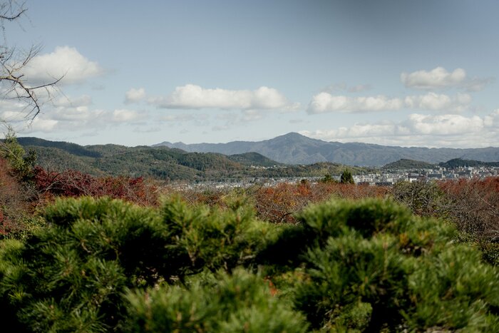 Stunning Arashiyama Bamboo Grove & Secluded Temples with Private Guide