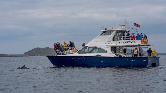 Summer Isle Tours
