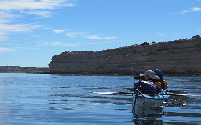 Kayak with sea lions