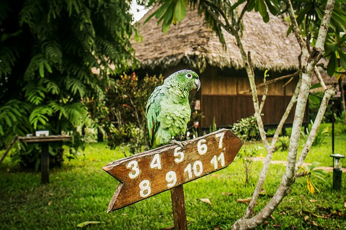 Corto Maltes Lodge 3/3 (Sandoval Lake Program) & Flight to {{end_location}}