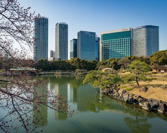 Half Day Tokyo Tour with English Speaking Guide and Vehicle (Private)