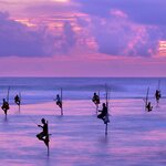 Spend your first night in Galle facing the sunset on the south coast (and see the traditional fishing methods in action)
