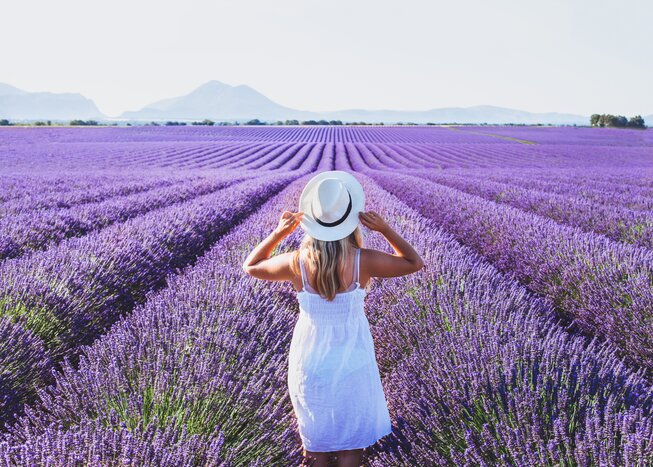 See the enchanting Provence lavender fields on your grand French getaway