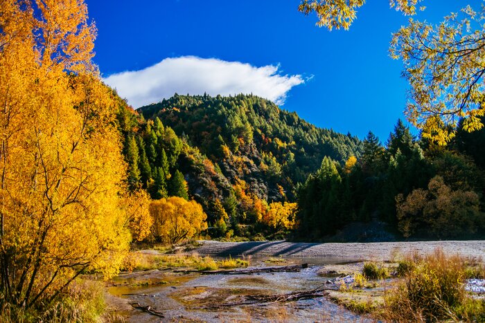 New Zealand in April: Travel Tips, Weather & More
