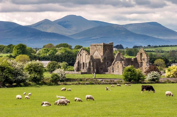 Welcome to Cashel!