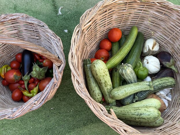 Greek Cooking Class on a Family Farm